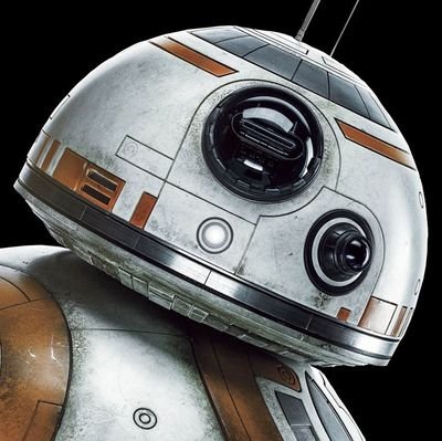 hering243's profile picture. noot noot