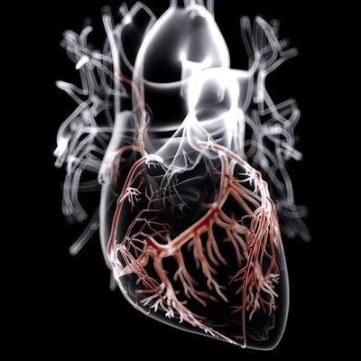 Sophia72089893's profile picture. BScN Student💊💉😊