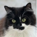 Mike Julius - @MikeJulius1965 - Twitter