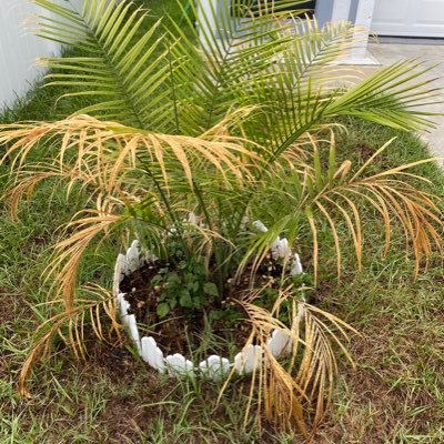 David0871463883's profile picture. Veteran - Owner of two businesses Major proponent of condom usage Almost 17 years with no alcohol       Author - Short Stories and book by 2024