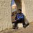 naagarsaurabh's profile image