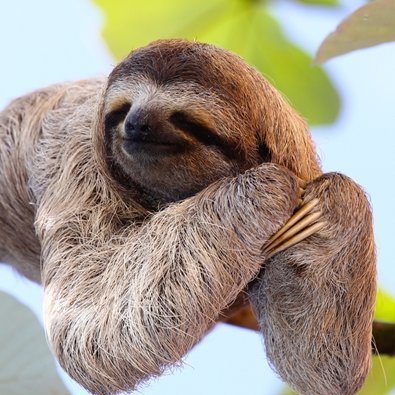 skyfree2023's profile picture. แจกเครดิตฟรีทุกวัน สายฟรี สาย บวก สายเล่นจริง แจกจริง
กดติดตาม กดใจให้กันด้วยนะครับ 💘