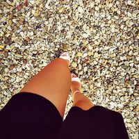 Shelia (@cartershelia48) 's Twitter Profile