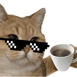 LavenderGang's profile picture. A Youtuber