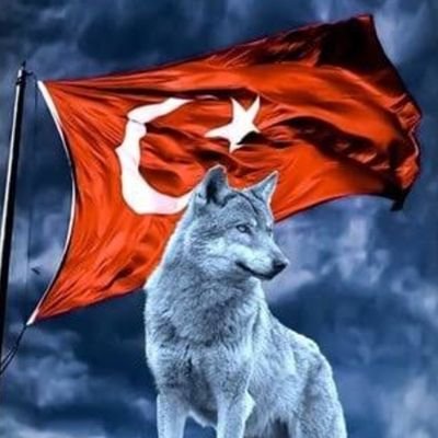 Bozkurt2855's profile picture. 