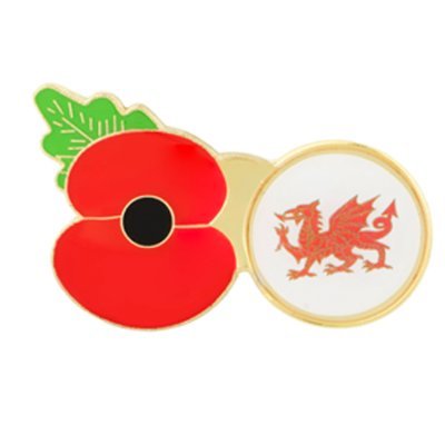 Claire Lewis Poppy Appeal Manager for the Royal British Legion for North Wales District