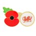 @RBLPoppyNorthWales 🏴󠁧󠁢󠁷󠁬󠁳󠁿 (@RBLPoppyNWales) Twitter profile photo