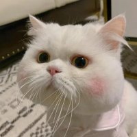 uu qazqaz (@uqazqaz54495) 's Twitter Profile