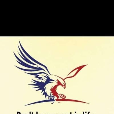 charlesbrownyie's profile picture. Procurement practitioner and tutor