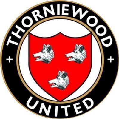 Thorniewood United FC - U20s, play in the West of Scotland Development League.