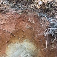 Soils and Climate Change Group (@soilsclimate) 's Twitter Profile