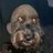 TomWouf's profile image