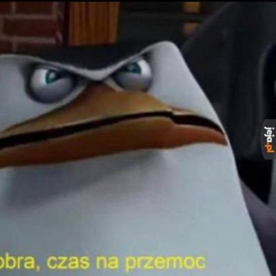 KweiszczS's profile picture. 