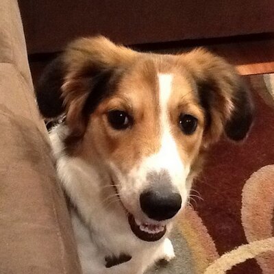 freedbolt's profile image