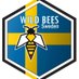 Wild Bees Sweden (@wildbeessweden) Twitter profile photo