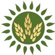 gaelfolk's profile picture. Gael Music is a youth led arts and heritage organisation that develops and celebrates folk and traditional music with communities across the UK.