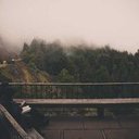 Lucille Phelps - @LucillePhe68436 - Twitter