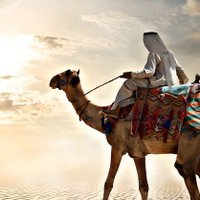 ثريد مفيد👍 thread moved (@useful_thread1) 's Twitter Profile