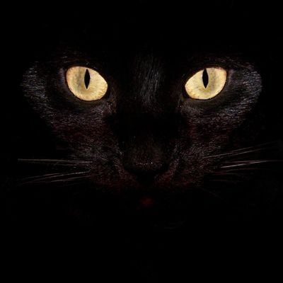 GraphcHaven's profile picture. 