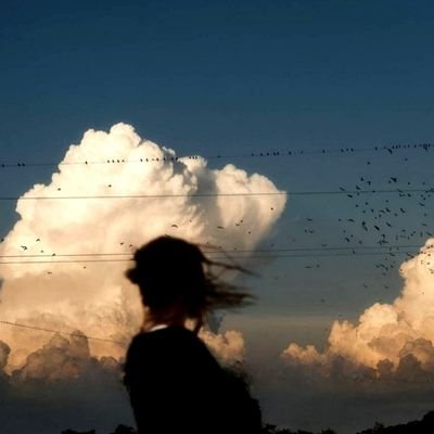 civuoleunfiore9's profile picture. Fanciulle, qual valente cantore tra voi s'aggira, più soave tra tutti, e che più gaie vi rende? È un cieco, e dimora nella pietrosa Chio