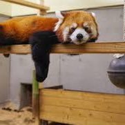 ponsukeHappy's profile picture. 広がって、瞬いた