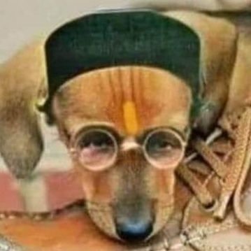 डॉ. वीर्य सम्हालकर Profile