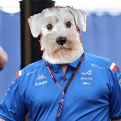 GordoSzafnauer's profile picture. 