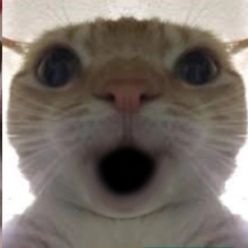 yours701's profile picture. Another Dimension