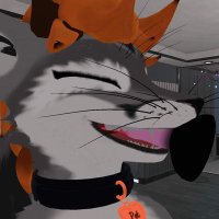 HornyVRChatFurry (@hornyvrcfurry) 's Twitter Profile
