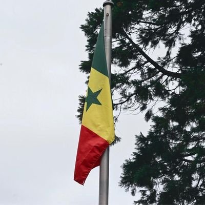 Bienvenue sur le compte twitter de l'Ambassade du #Sénégal en #Belgique