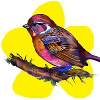Inner City Seeds (@inner_seeds) 's Twitter Profile Photo Inner City Seeds (@inner_seeds) 's Twitter Profile Photo