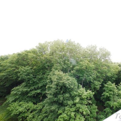 happy22z's profile picture. 