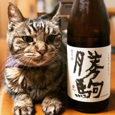 我が家の老猫たち🐾ハチ♂2022.3.13 21歳&チャチャ ♀2023.3.31 19歳で旅立ちました🐱🌈🐱/やっぱり猫が好き/中央競馬・地方競馬/金沢競馬場に出没/キャロッタのファン/日本酒好き🍶/夜は酔っ払いの独り言⚠️