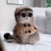 cat4me (@cat4me1) Twitter profile photo cat4me (@cat4me1) Twitter profile photo