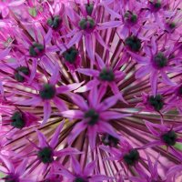 clare baker💙 (@clarebakerjrl) 's Twitter Profile Photo