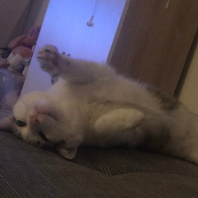 m4rl0n04's profile picture. 21
https://t.co/60rhOXfBrp