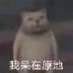 过过了 (@gugulebba) Twitter profile photo 过过了 (@gugulebba) Twitter profile photo