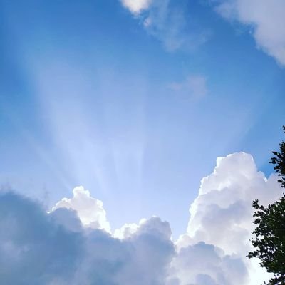 mackterri17's profile picture. 