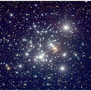 Plexus03684672's profile picture. #MintSquare