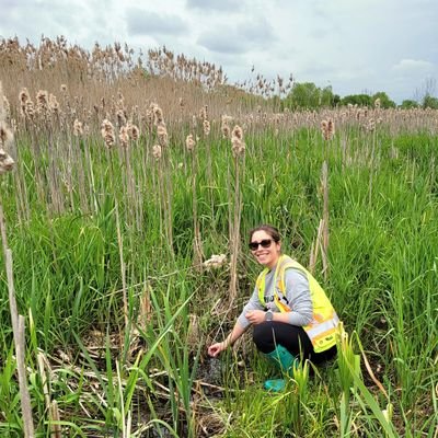 she/her • Assistant Professor @BrockUniversity •
Hydrological impacts of landscape disturbance and restoration 💧🌱 • Views are my own