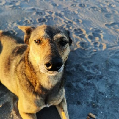 Fergus10219745's profile picture. 