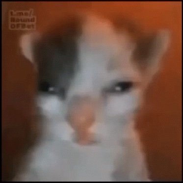 Rae033825729866's profile picture. I like CRK and Fnaf lmao