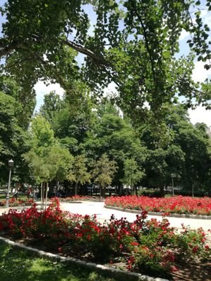 Clamores3895942's profile picture. Me gusta la pintura, fotografía y escribir