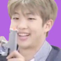 el⁷ | namjoon's bonsai 🍃 (@remsmith4) 's Twitter Profile