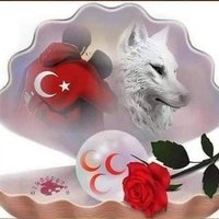 ÇİRKİN KIRAL♥️🤍58(@irkinKr58) 's Twitter Profile Photo
