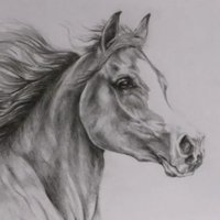 Michal_gif🐎 (@michalgif) 's Twitter Profile
