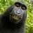 Brian satham avatar