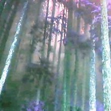 magickalvictory's profile picture. 