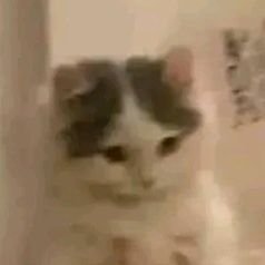 xyzgo_on's profile picture. us