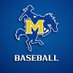 McNeese Baseball (@McNeeseBaseball) Twitter profile photo